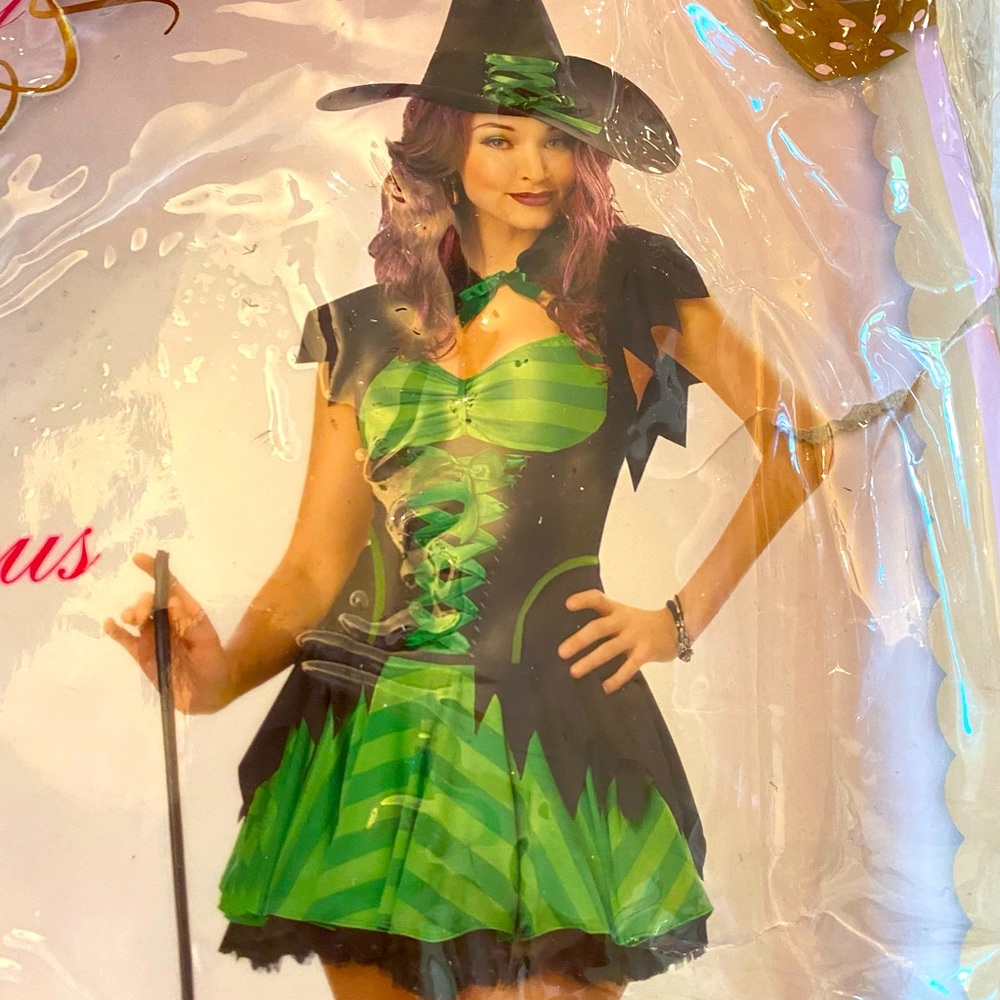 Hocus Pocus Deluxe Costume